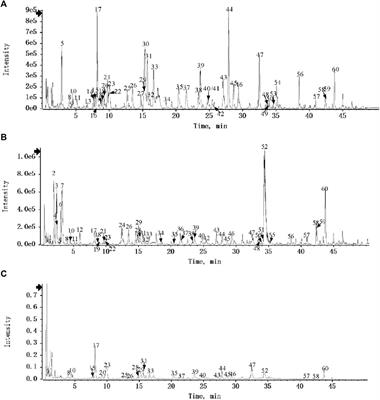 Gongying-Jiedu-Xiji recipe promotes the healing of venous ulcers by inhibiting ferroptosis via the CoQ-FSP1 axis